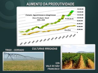 AUMENTO DA PRODUTIVIDADE
UVA
VALE DO SÃO
FRANCISCO
CULTURAS IRRIGADASTRIGO - CERRADO
 