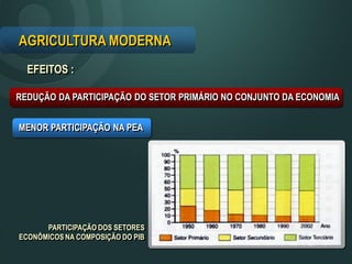 EFEITOS :
PARTICIPAÇÃO DOS SETORES
ECONÔMICOS NA COMPOSIÇÃO DO PIB
AGRICULTURA MODERNA
REDUÇÃO DA PARTICIPAÇÃO DO SETOR PRIMÁRIO NO CONJUNTO DA ECONOMIA
MENOR PARTICIPAÇÃO NA PEA
 