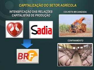 CAPITALIZAÇÃO DO SETOR AGRÍCOLA
COLHEITA MECANIZADA
CONFINAMENTO
INTENSIFICAÇÃO DAS RELAÇÕES
CAPITALISTAS DE PRODUÇÃO
 