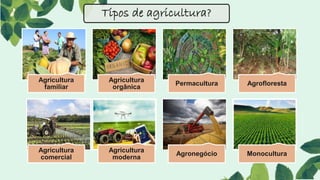 Tipos de agricultura?
Agricultura
familiar
Agricultura
orgânica
Permacultura Agrofloresta
Agricultura
comercial
Agricultura
moderna
Agronegócio Monocultura
 