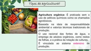 Agricultura orgânica- É praticada sem o
uso de aditivos químicos como os chamados
agrotóxicos.
Baseada na ideia de responsabilidade
ambiental e valoriza técnicas tradicionais de
produção.
O uso racional das fontes de água, o
emprego de adubos orgânicos, como restos
de folhas, e a prática da rotação de culturas.
É vinculada ao sistema extensivo de
produção.
Tipos de agricultura?
 