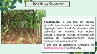 Agrofloresta- é um tipo de prática
agrícola que busca a manutenção da
vegetação nativa local. Os alimentos são
cultivados em conjunto com outras
plantas e árvores nativas, formando um
sistema de compartilhamento entre
espécies nas áreas naturais.
É um tipo de agricultura vinculada ao
sistema extensivo de produção.
Tipos de agricultura?
 