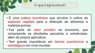 • É uma prática econômica que envolve o cultivo de
espécies vegetais para a obtenção de alimentos e
matérias-primas.
• Faz parte do setor primário da economia, que
compreende as atividades pecuárias e extrativistas,
além da própria agricultura.
• Tem grande importância em termos econômicos e
estratégicos em nível mundial.
O que é agricultura?
 