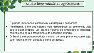 Qual a importância da agricultura?
• É grande importância alimentícia, estratégica e econômica.
• Atualmente, é um dos setores mais estratégicos da economia, visto
que o setor propicia um grande volume de empregos e impostos,
contribuindo para o crescimento da economia mundial.
• O Brasil é um grande produtor mundial de bens primários, como soja,
café, laranja, milho, algodão e cana-de-açúcar.
 