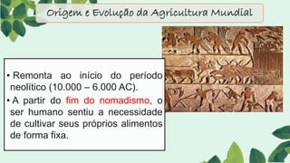 Origem e Evolução da Agricultura Mundial
• Remonta ao início do período
neolítico (10.000 – 6.000 AC).
• A partir do fim do nomadismo, o
ser humano sentiu a necessidade
de cultivar seus próprios alimentos
de forma fixa.
 