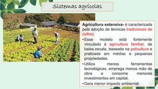 Sistemas agrícolas
Agricultura extensiva- é caracterizada
pela adoção de técnicas tradicionais de
cultivo.
•Esse modelo está fortemente
vinculado à agricultura familiar, de
baixa escala, baseada na policultura e
praticada em médias e pequenas
propriedades.
•Utiliza menos ferramentas
tecnológicas, emprega menos mão de
obra e consome menores
investimentos em capital.
•Gera menor impacto ambiental.
 