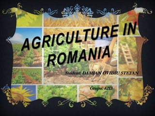 Plateau, PDF, Agricultura