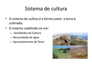 Sistema de cultura
• O sistema de cultivo é a forma como a terra é
cultivada.
• O sistema subdivide-se em:
– Variedades de Cultura
– Necessidade de água
– Aproveitamento de Terra

 