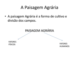 A Paisagem Agrária
• A paisagem Agrária é a forma de cultivo e
divisão dos campos.
PAISAGEM AGRÁRIA
FATORES
FÍSICOS

FATORES
HUMANOS

 