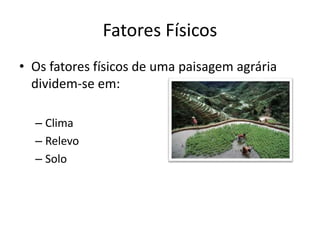 Fatores Físicos
• Os fatores físicos de uma paisagem agrária
dividem-se em:
– Clima
– Relevo
– Solo

 