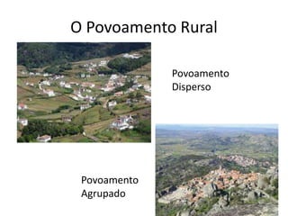 O Povoamento Rural
Povoamento
Disperso

Povoamento
Agrupado

 