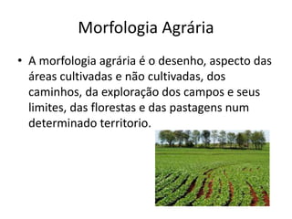 Morfologia Agrária
• A morfologia agrária é o desenho, aspecto das
áreas cultivadas e não cultivadas, dos
caminhos, da exploração dos campos e seus
limites, das florestas e das pastagens num
determinado territorio.

 