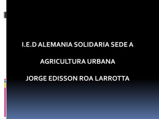 I.E.D ALEMANIA SOLIDARIA SEDE A

     AGRICULTURA URBANA

 JORGE EDISSON ROA LARROTTA
 