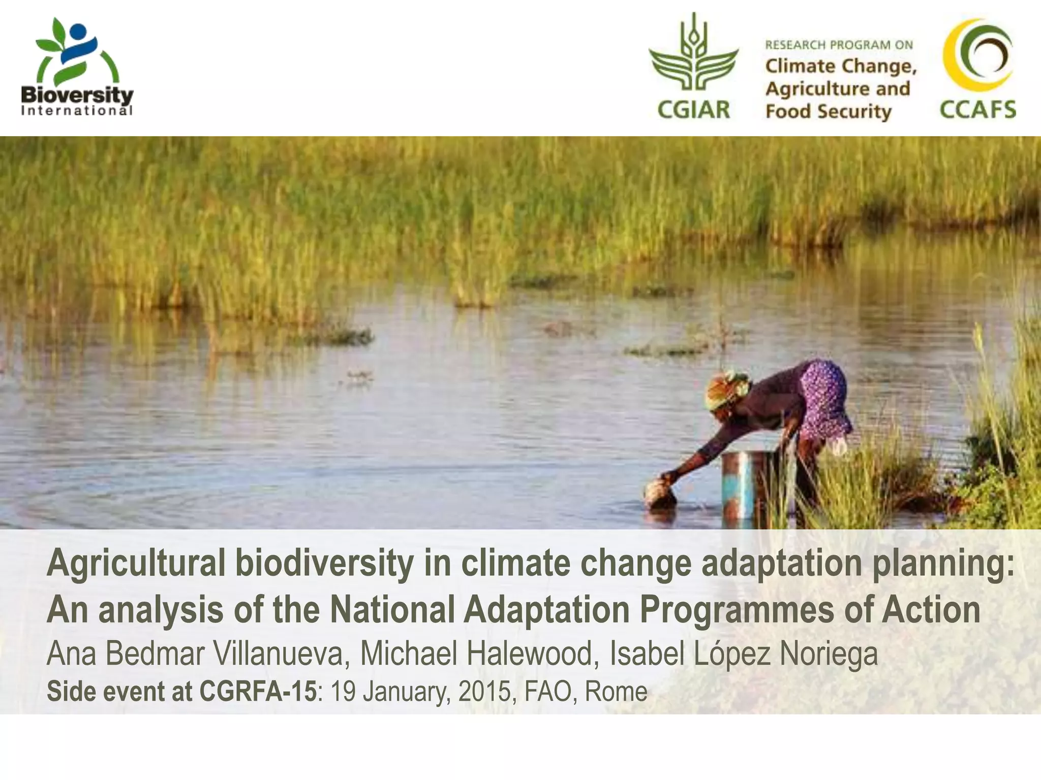 Agricultural biodiversity in climate change adaptation planning | PPTX