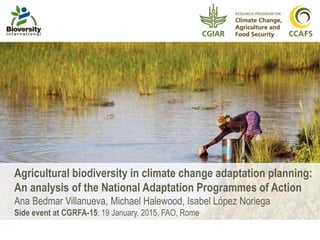 Agricultural biodiversity in climate change adaptation planning:
An analysis of the National Adaptation Programmes of Action
Ana Bedmar Villanueva, Michael Halewood, Isabel López Noriega
Side event at CGRFA-15: 19 January, 2015, FAO, Rome
 