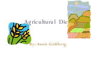 Agricultural  Diet By: Annie Goldberg 