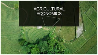 AGRICULTURAL
ECONOMICS
 