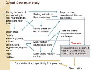 Overall Scheme of study
Finding the kinds of
plants growing in
wild, near roadside,
garden and near
fields.
Prey, predator,
parasitic and disease
interactions.
Select areas
Density,
Interacting plants,
animals
Soil pH, temp,
oxygenation, organic
matter,
Trash,
Fertilizer
Native extant and
extinct varieties
Major carbon
sources and sinks
Material and Nutrient
cycling
Finding animals and
their distribution
Plant and animal
resources imported
to this area.
Meta-analysis of published
data on organisms and
abiotic factors identified
Computational and specifically AI approaches
Smart policy
Your role
 