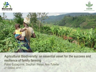 Bioversity International/ P. Lepoint 
Agricultural Biodiversity: an essential asset for the success and 
resilience of family farming 
Pablo Eyzaguirre, Stephan Weise, Ann Tutwiler 
27 October 2014 
 