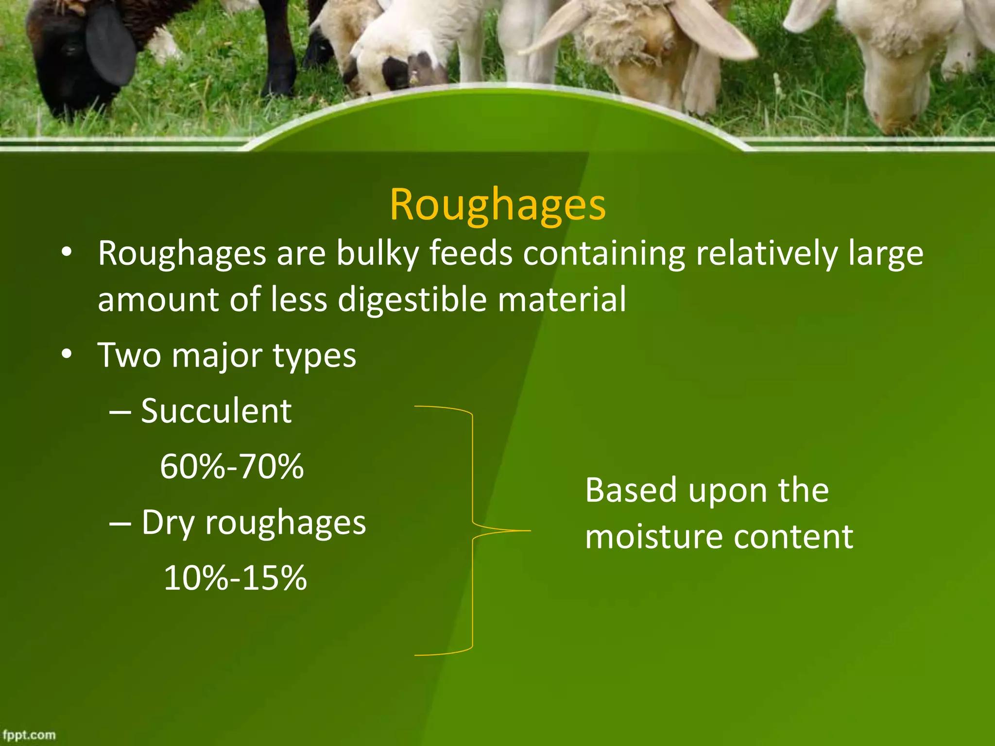 Feed resources of farm animal | PPTX