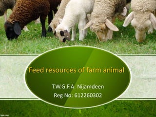 Feed resources of farm animal
T.W.G.F.A. Nijamdeen
Reg No: 612260302
 
