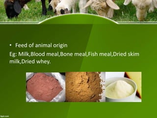 • Feed of animal origin
Eg: Milk,Blood meal,Bone meal,Fish meal,Dried skim
milk,Dried whey.
 