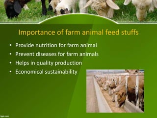 Importance of farm animal feed stuffs
• Provide nutrition for farm animal
• Prevent diseases for farm animals
• Helps in quality production
• Economical sustainability
 