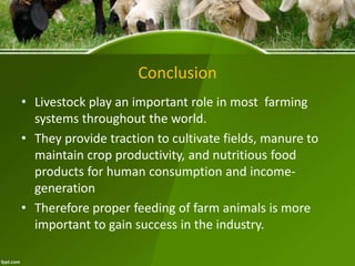 Conclusion
• Livestock play an important role in most farming
systems throughout the world.
• They provide traction to cultivate fields, manure to
maintain crop productivity, and nutritious food
products for human consumption and income-
generation
• Therefore proper feeding of farm animals is more
important to gain success in the industry.
 