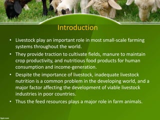 Introduction
• Livestock play an important role in most small-scale farming
systems throughout the world.
• They provide traction to cultivate fields, manure to maintain
crop productivity, and nutritious food products for human
consumption and income-generation.
• Despite the importance of livestock, inadequate livestock
nutrition is a common problem in the developing world, and a
major factor affecting the development of viable livestock
industries in poor countries.
• Thus the feed resources plays a major role in farm animals.
 