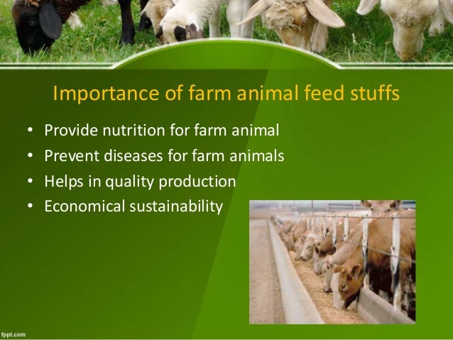 Feed resources of farm animal