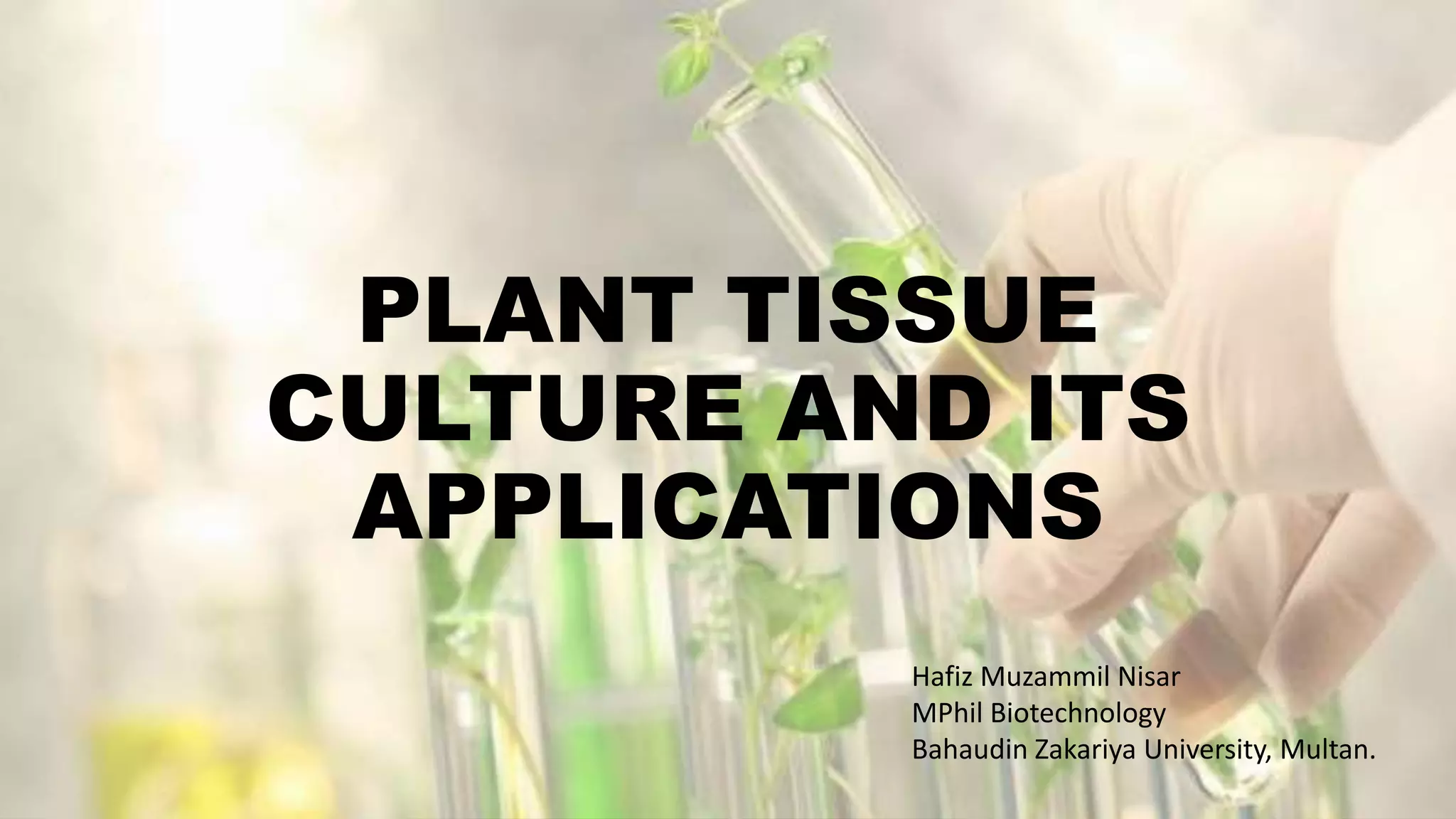 plant tissue culture and its applications. Agricultural biotech. | PPTX