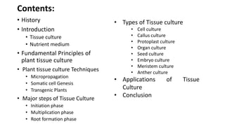 plant tissue culture and its applications. Agricultural biotech. | PPTX