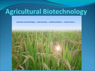 Agricultural Biotechnology
 