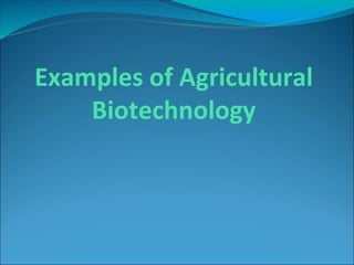 Agricultural Biotechnology.pptx