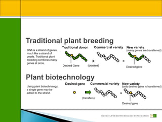 Desired gene
Traditional plant breeding
DNA is a strand of genes,
much like a strand of
pearls. Traditional plant
breeding combines many
genes at once.
Traditional donor Commercial variety New variety
Desired Gene
X =
(crosses)
(many genes are transferred)
Plant biotechnology
Using plant biotechnology,
a single gene may be
added to the strand.
Desired gene Commercial variety New variety
(transfers)
=
Desired gene
(only desired gene is transferred)
12
 