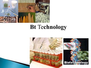 Bt Technology
 