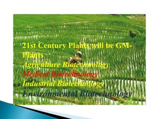 21st Century Plants will be GM-
Plants
Agriculture Biotechnology
Medical Biotechnology
Industrial Biotechnology
Environmental Biotechnology
 
