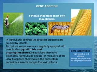 Agricultural biotechnology, overview | PPTX