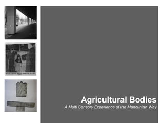 Agricultural Bodies
A Multi Sensory Experience of the Mancunian Way
 