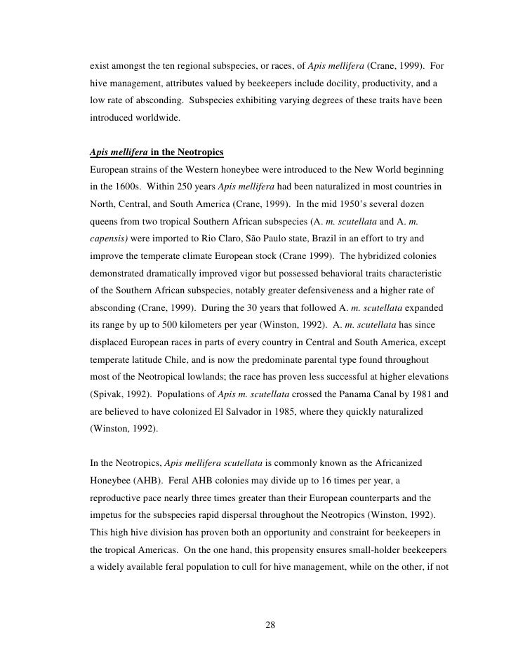 essays examples free