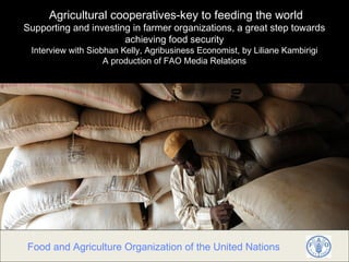 Agricultural cooperatives-key to feeding the world
Supporting and investing in farmer organizations, a great step towards
                       achieving food security
 Interview with Siobhan Kelly, Agribusiness Economist, by Liliane Kambirigi
                    A production of FAO Media Relations




Food and Agriculture Organization of the United Nations
 