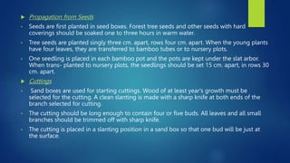  Propagation from Seeds
• Seeds are first planted in seed boxes. Forest tree seeds and other seeds with hard
coverings should be soaked one to three hours in warm water.
• Tree seeds are planted singly three cm. apart, rows four cm. apart. When the young plants
have four leaves, they are transferred to bamboo tubes or to nursery plots.
• One seedling is placed in each bamboo pot and the pots are kept under the slat arbor.
When trans- planted to nursery plots, the seedlings should be set 15 cm. apart, in rows 30
cm. apart.
 Cuttings
• Sand boxes are used for starting cuttings. Wood of at least year's growth must be
selected for the cutting. A clean slanting is made with a sharp knife at both ends of the
branch selected for cutting.
• The cutting should be long enough to contain four or five buds. All leaves and all small
branches should be trimmed off with sharp knife.
• The cutting is placed in a slanting position in a sand box so that one bud will be just at
the surface.
 