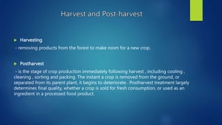  Harvesting
- removing products from the forest to make room for a new crop.
 Postharvest
- is the stage of crop production immediately following harvest , including cooling ,
cleaning , sorting and packing. The instant a crop is removed from the ground, or
separated from its parent plant, it begins to deteriorate . Postharvest treatment largely
determines final quality, whether a crop is sold for fresh consumption, or used as an
ingredient in a processed food product.
 