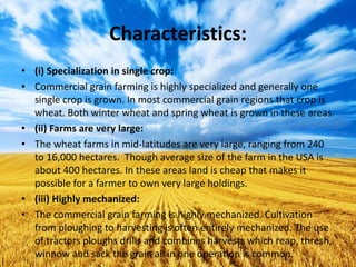 Characteristics:
• (i) Specialization in single crop:
• Commercial grain farming is highly specialized and generally one
single crop is grown. In most commercial grain regions that crop is
wheat. Both winter wheat and spring wheat is grown in these areas.
• (ii) Farms are very large:
• The wheat farms in mid-latitudes are very large, ranging from 240
to 16,000 hectares. Though average size of the farm in the USA is
about 400 hectares. In these areas land is cheap that makes it
possible for a farmer to own very large holdings.
• (iii) Highly mechanized:
• The commercial grain farming is highly mechanized. Cultivation
from ploughing to harvesting is often entirely mechanized. The use
of tractors ploughs drills and combines harvests which reap, thresh,
winnow and sack the grain all in one operation is common.
 