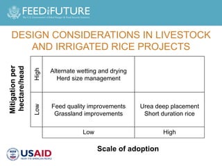 Designing Agricultural Development Investments to Yield Mitigation Co-Benefits in Livestock and Rice Systems