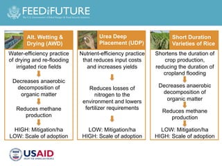 Designing Agricultural Development Investments to Yield Mitigation Co-Benefits in Livestock and Rice Systems