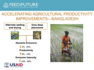 Designing Agricultural Development Investments to Yield Mitigation Co-Benefits in Livestock and Rice Systems