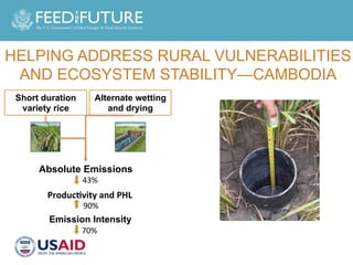 Designing Agricultural Development Investments to Yield Mitigation Co-Benefits in Livestock and Rice Systems