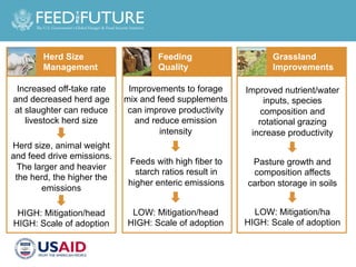 Designing Agricultural Development Investments to Yield Mitigation Co-Benefits in Livestock and Rice Systems