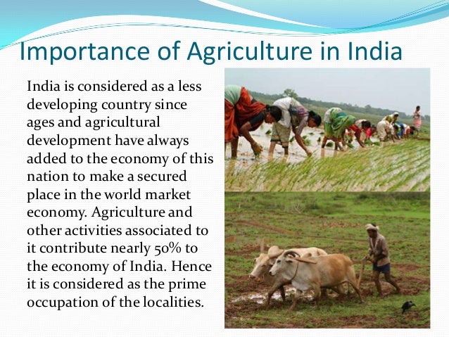 india an agricultural country essay